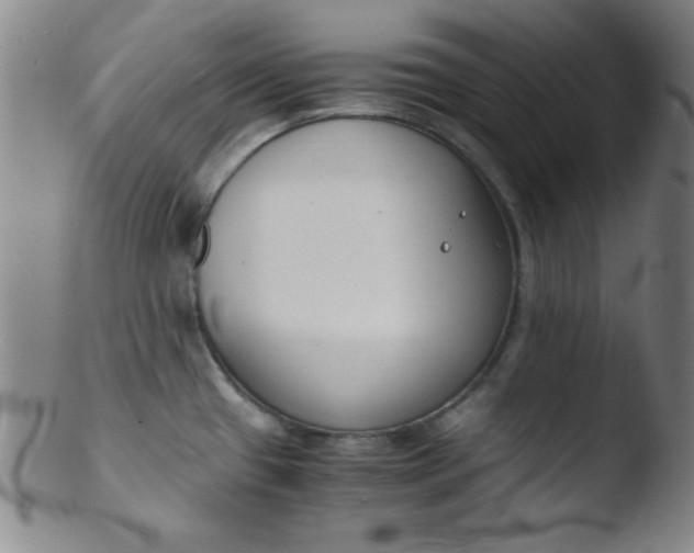 X0000103481433200809261917