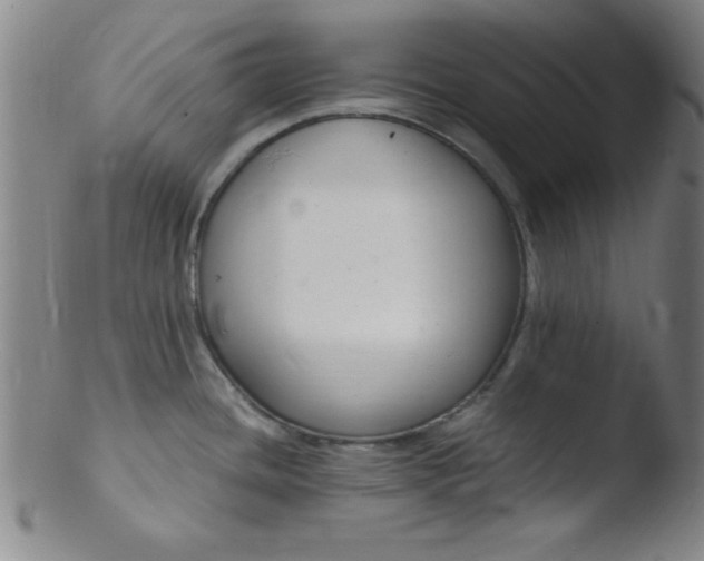 X0000103481436200809261917