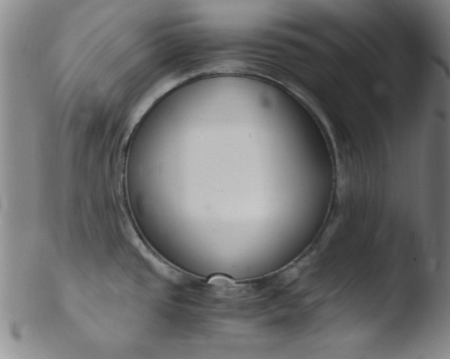 X0000103481437200809261917