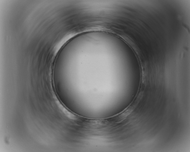 X0000103481438200809261917