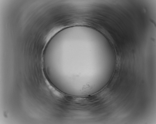 X0000103481439200809261917