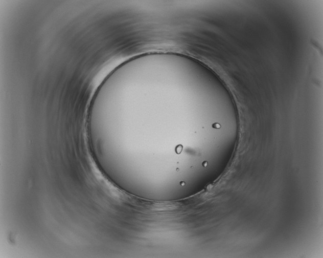 X0000103481440200809261917