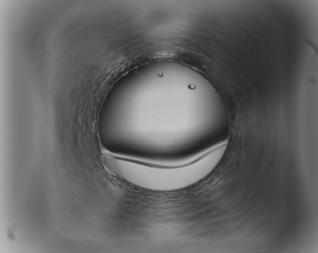 X0000103481441200809261917