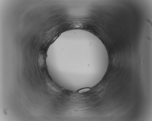 X0000103481442200809261917