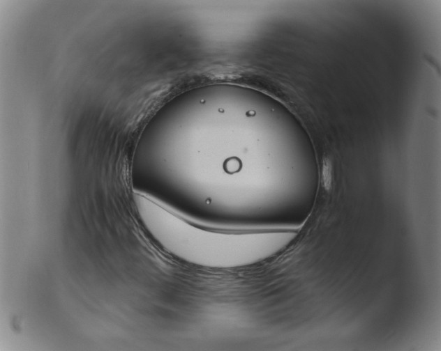 X0000103481444200809261916
