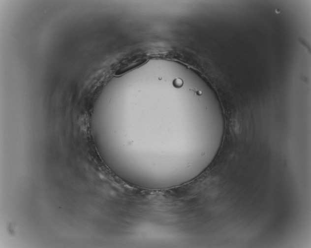 X0000103481445200809261916