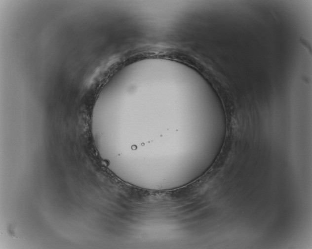 X0000103481447200809261916