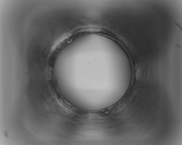 X0000103481448200809261916