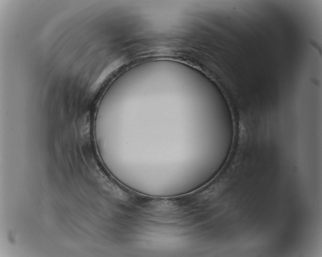 X0000103481450200809261916