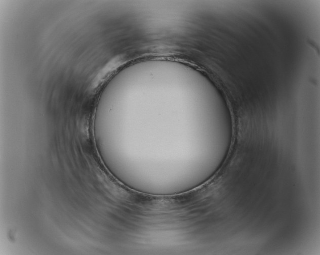 X0000103481451200809261916