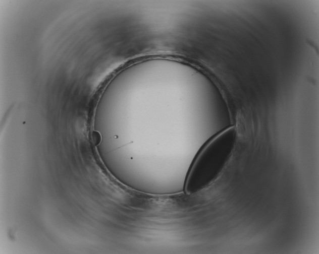 X0000103481452200809261916