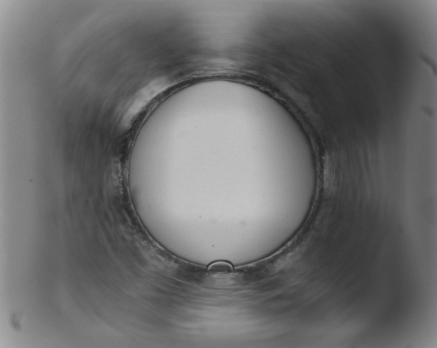 X0000103481453200809261916