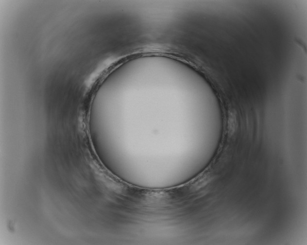X0000103481454200809261916