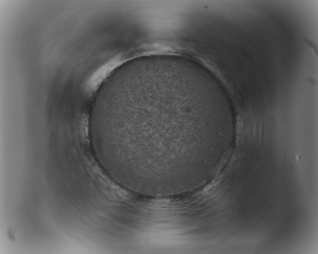 X0000103481455200809261916