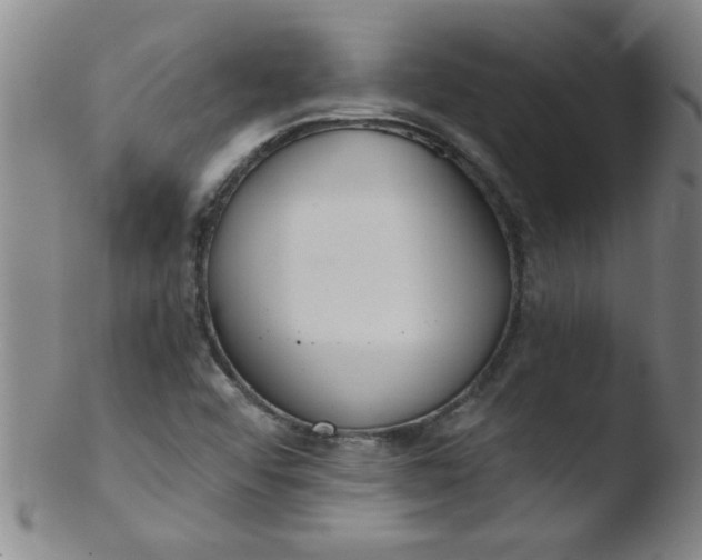 X0000103481456200809261916
