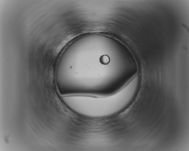 X0000103481457200809261916