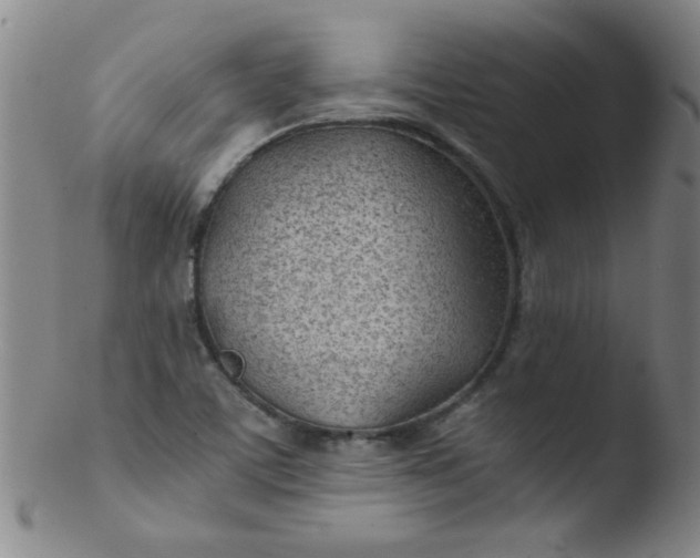 X0000103481459200809261916
