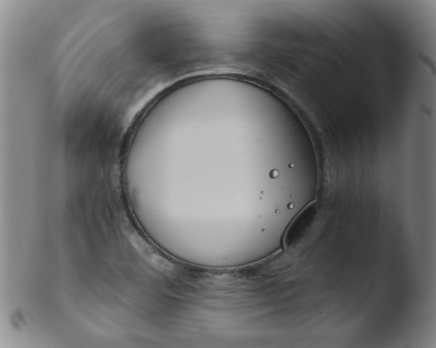 X0000103481460200809261916