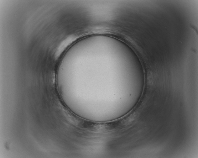 X0000103481461200809261916