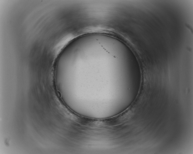 X0000103481463200809261916