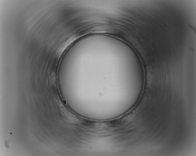 X0000103481465200809261916