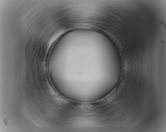 X0000103481466200809261916