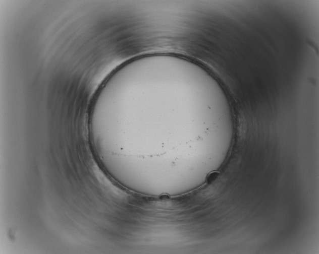 X0000103481468200809261916