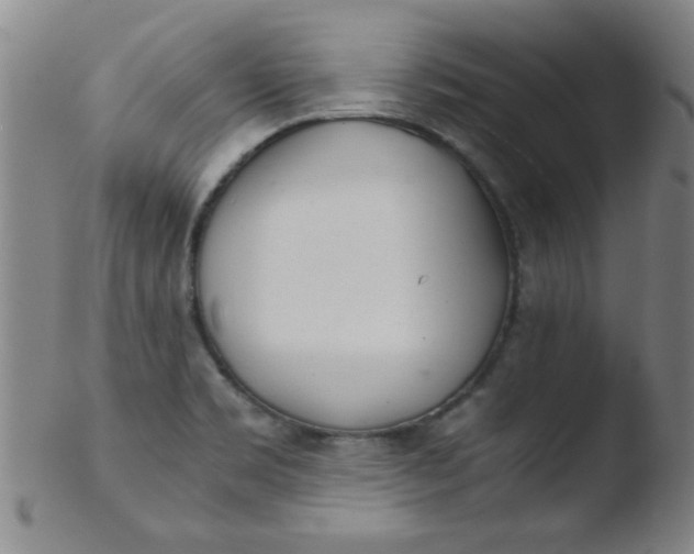 X0000103481469200809261916