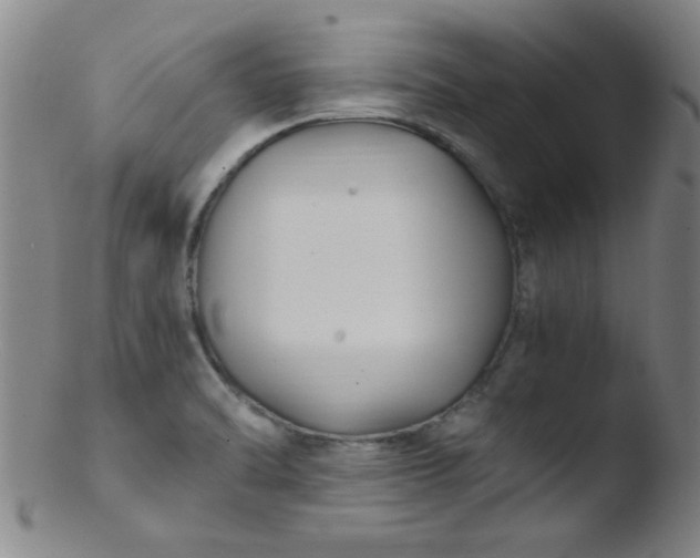 X0000103481470200809261916