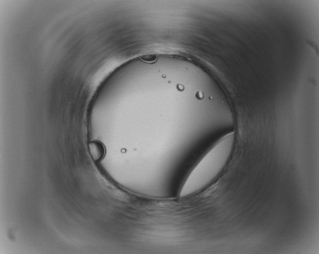 X0000103481471200809261916