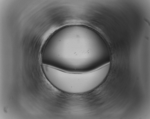 X0000103481472200809261916