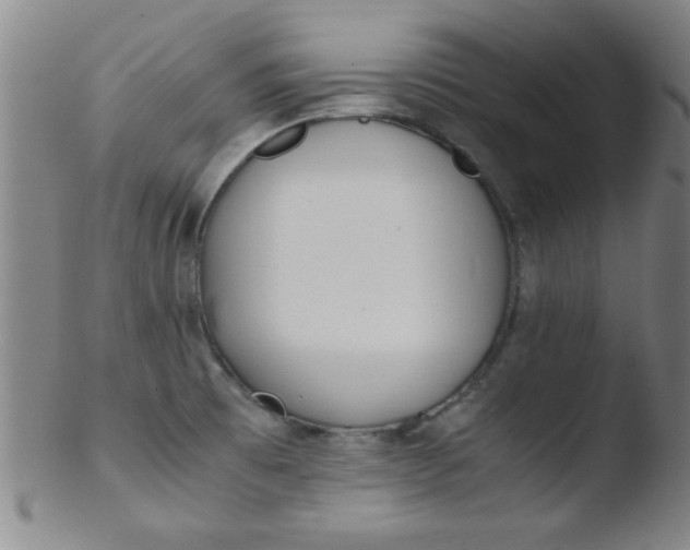 X0000103481473200809261916