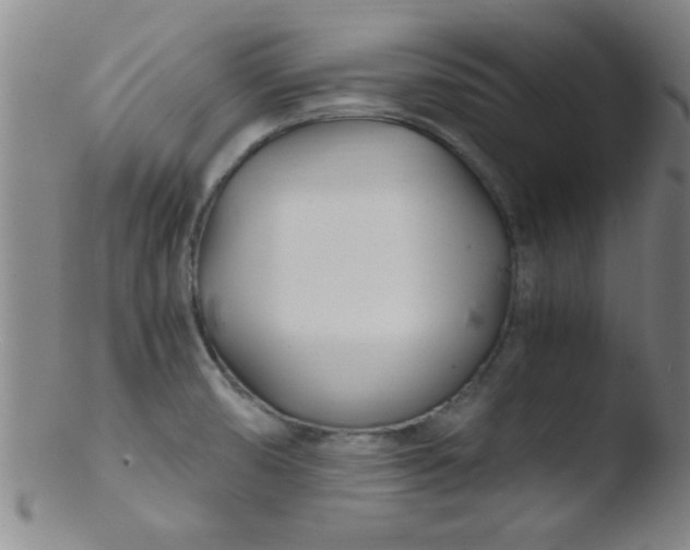 X0000103481474200809261916