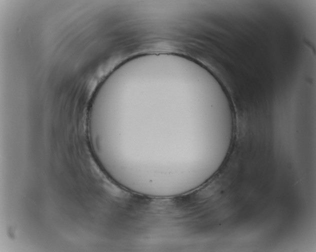 X0000103481477200809261916