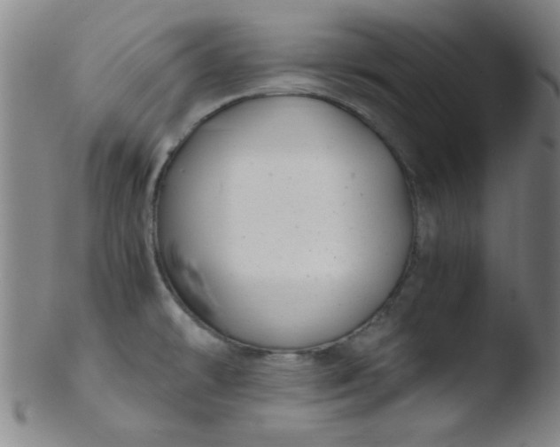 X0000103481478200809261916