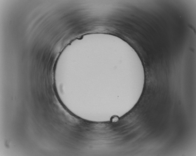 X0000103481479200809261916