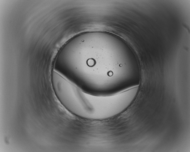 X0000103481480200809261916