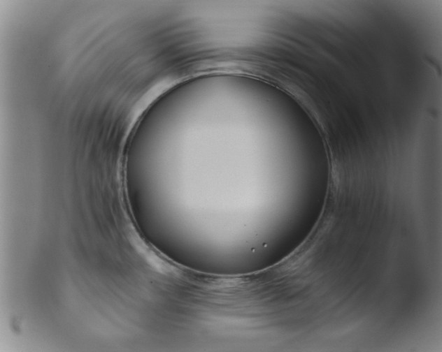 X0000103481482200809261916