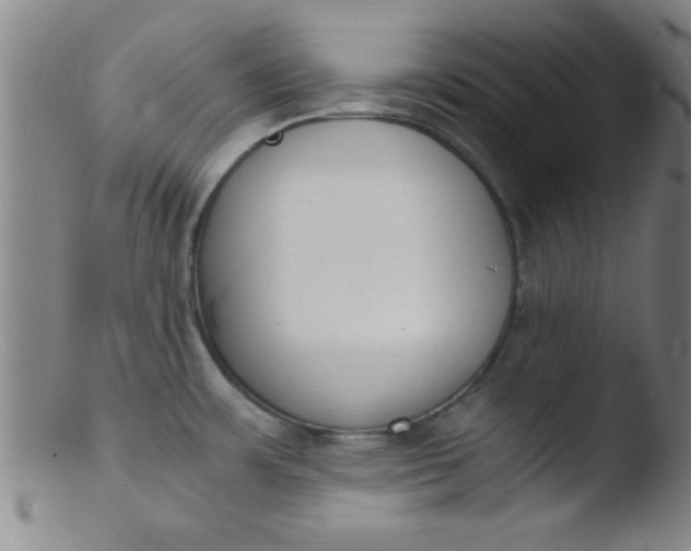 X0000103481483200809261916