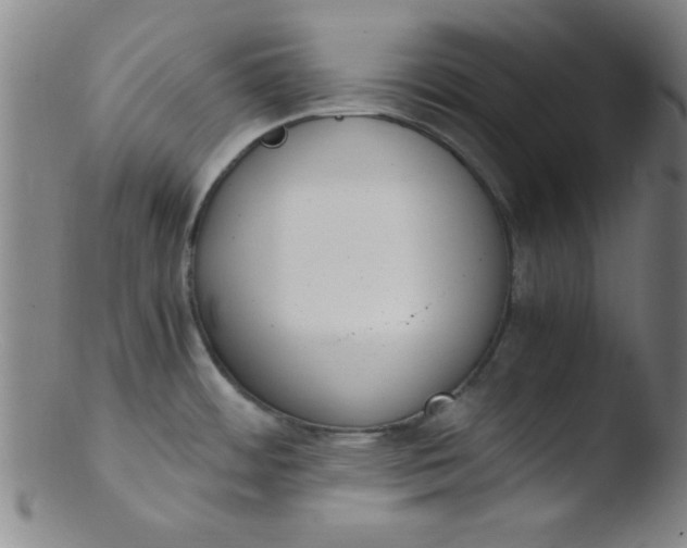 X0000103481484200809261916