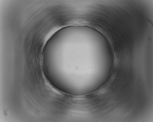 X0000103481486200809261916