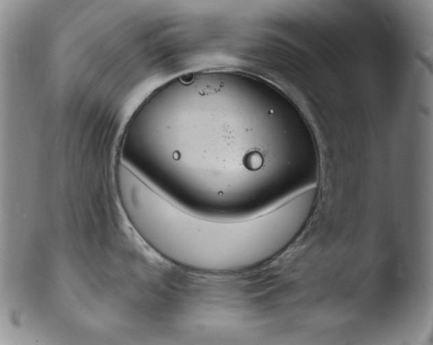 X0000103481488200809261916