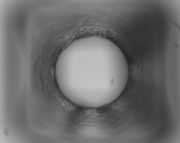 X0000103481489200809261915