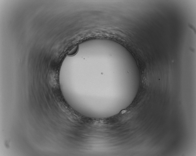 X0000103481490200809261915