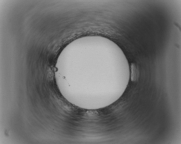 X0000103481491200809261915