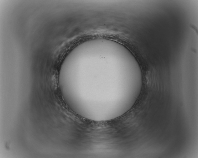 X0000103481493200809261915