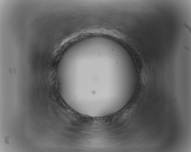 X0000103481494200809261915