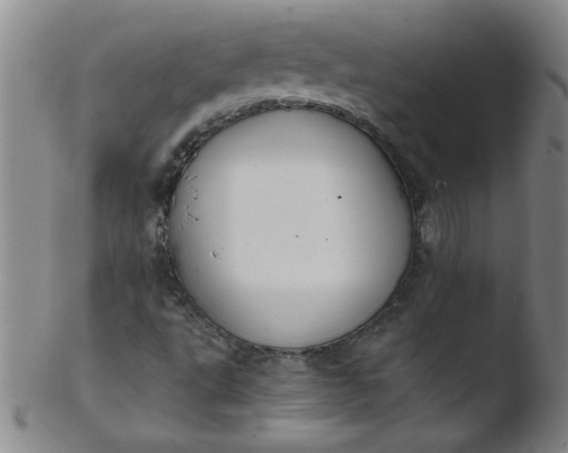 X0000103481495200809261915