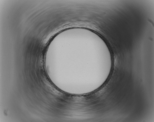 X0000103481498200809261915