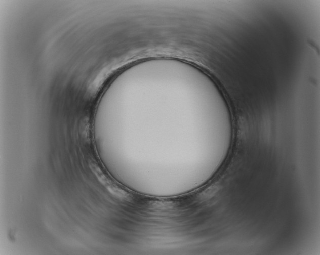 X0000103481499200809261915
